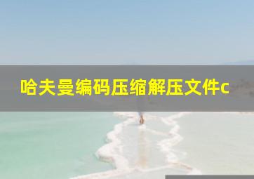 哈夫曼编码压缩解压文件c