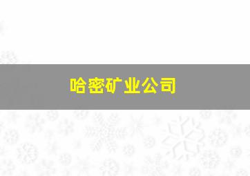 哈密矿业公司