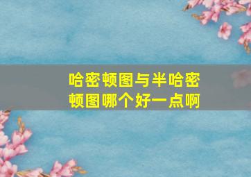 哈密顿图与半哈密顿图哪个好一点啊