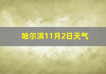 哈尔滨11月2日天气