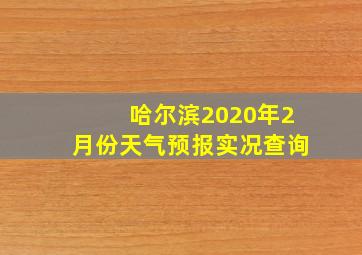 哈尔滨2020年2月份天气预报实况查询