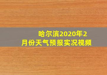 哈尔滨2020年2月份天气预报实况视频