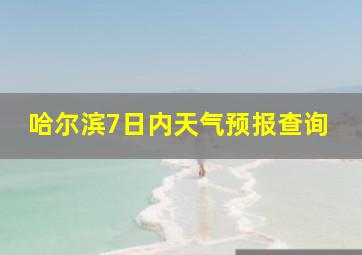 哈尔滨7日内天气预报查询