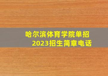 哈尔滨体育学院单招2023招生简章电话