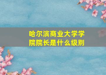 哈尔滨商业大学学院院长是什么级别