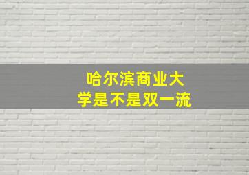 哈尔滨商业大学是不是双一流