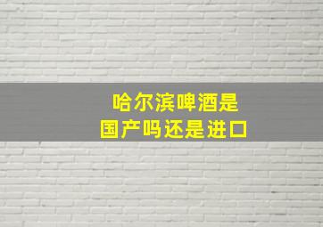 哈尔滨啤酒是国产吗还是进口