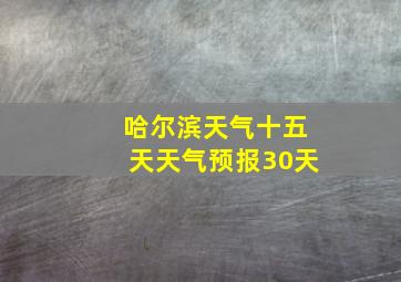 哈尔滨天气十五天天气预报30天