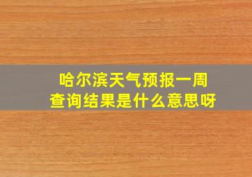 哈尔滨天气预报一周查询结果是什么意思呀