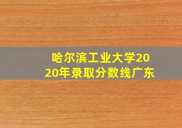 哈尔滨工业大学2020年录取分数线广东