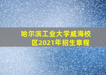 哈尔滨工业大学威海校区2021年招生章程