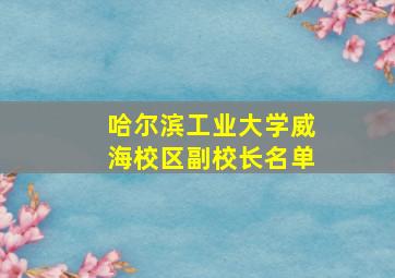 哈尔滨工业大学威海校区副校长名单