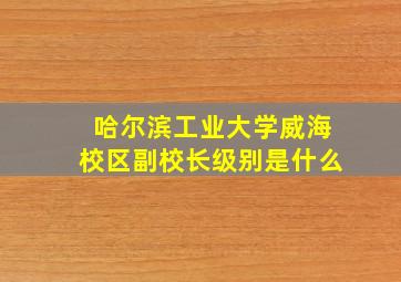 哈尔滨工业大学威海校区副校长级别是什么