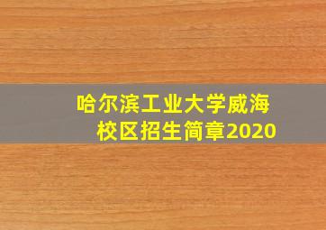 哈尔滨工业大学威海校区招生简章2020