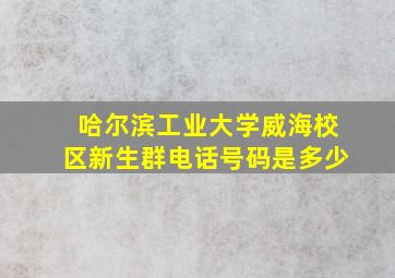 哈尔滨工业大学威海校区新生群电话号码是多少