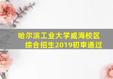 哈尔滨工业大学威海校区综合招生2019初审通过