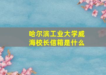 哈尔滨工业大学威海校长信箱是什么