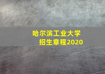 哈尔滨工业大学招生章程2020