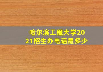 哈尔滨工程大学2021招生办电话是多少