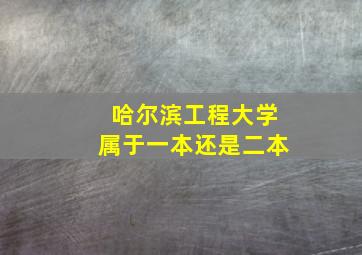 哈尔滨工程大学属于一本还是二本