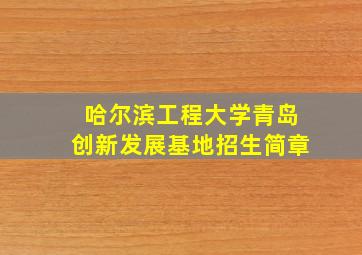 哈尔滨工程大学青岛创新发展基地招生简章