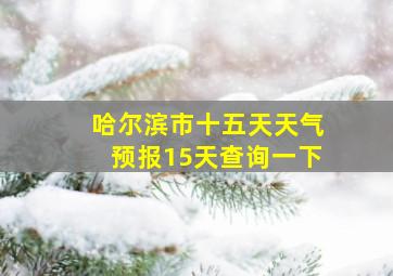 哈尔滨市十五天天气预报15天查询一下