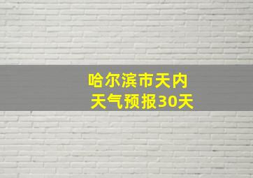 哈尔滨市天内天气预报30天