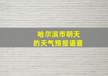 哈尔滨市明天的天气预报语音