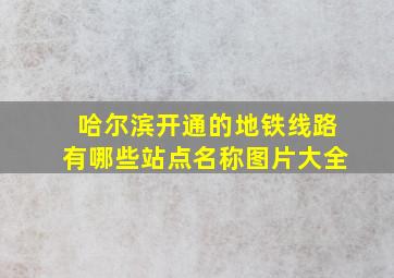 哈尔滨开通的地铁线路有哪些站点名称图片大全