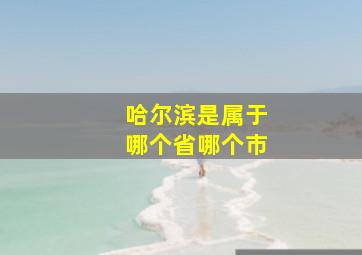 哈尔滨是属于哪个省哪个市