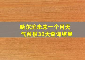 哈尔滨未来一个月天气预报30天查询结果