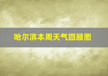 哈尔滨本周天气回顾图