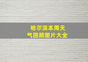 哈尔滨本周天气回顾图片大全