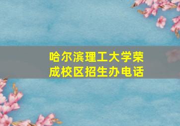 哈尔滨理工大学荣成校区招生办电话