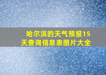 哈尔滨的天气预报15天查询信息表图片大全