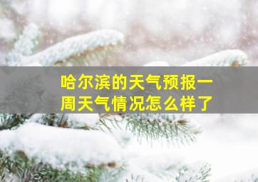 哈尔滨的天气预报一周天气情况怎么样了