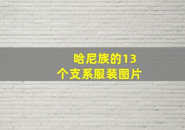 哈尼族的13个支系服装图片