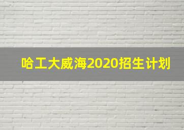 哈工大威海2020招生计划