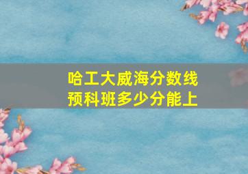 哈工大威海分数线预科班多少分能上