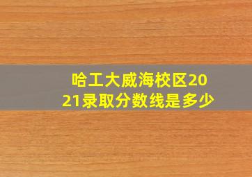 哈工大威海校区2021录取分数线是多少