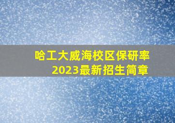 哈工大威海校区保研率2023最新招生简章