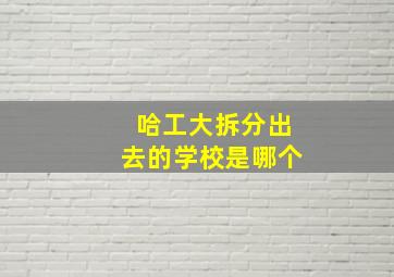 哈工大拆分出去的学校是哪个