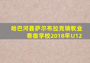 哈巴河县萨尔布拉克镇牧业寄宿学校2018年U12