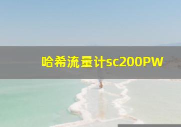 哈希流量计sc200PW