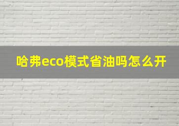 哈弗eco模式省油吗怎么开