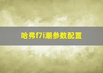 哈弗f7i潮参数配置