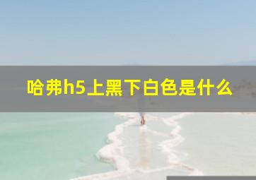 哈弗h5上黑下白色是什么