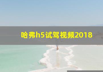 哈弗h5试驾视频2018