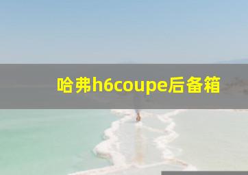 哈弗h6coupe后备箱