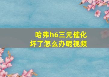 哈弗h6三元催化坏了怎么办呢视频